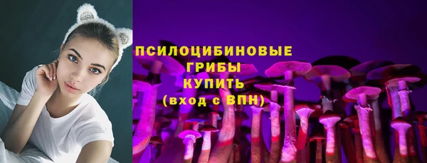 трава Ельня