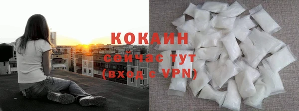 крисы Дмитриев