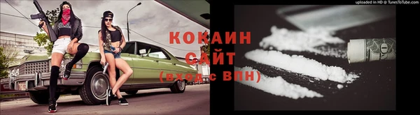 крисы Дмитриев