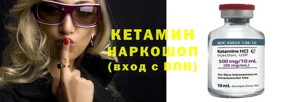 крисы Дмитриев