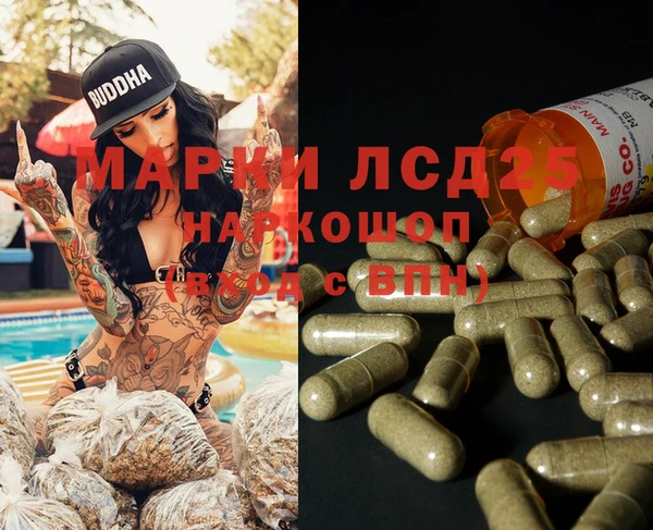 ПСИЛОЦИБИНОВЫЕ ГРИБЫ Дмитров