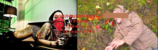 ПСИЛОЦИБИНОВЫЕ ГРИБЫ Дмитров