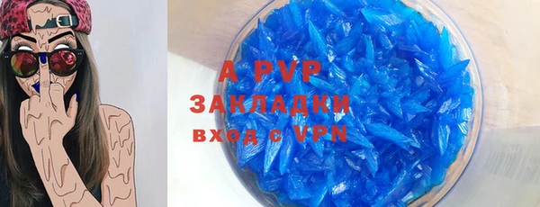 ПСИЛОЦИБИНОВЫЕ ГРИБЫ Дмитров