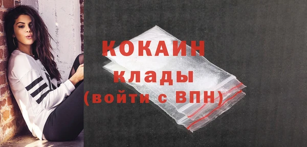 крисы Дмитриев