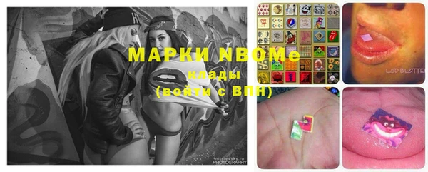 крисы Дмитриев