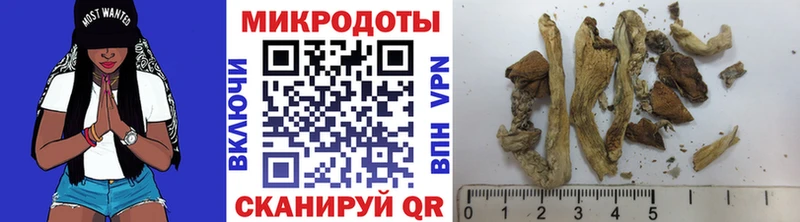 Галлюциногенные грибы Psilocybe  где продают   Чистополь 